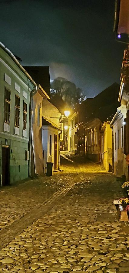 Pensiunea Lelila Inn Сигишоара Экстерьер фото