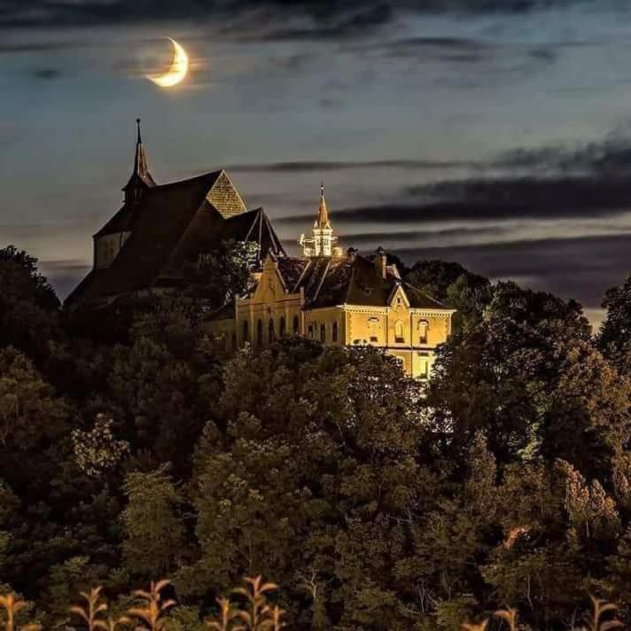Pensiunea Lelila Inn Сигишоара Экстерьер фото
