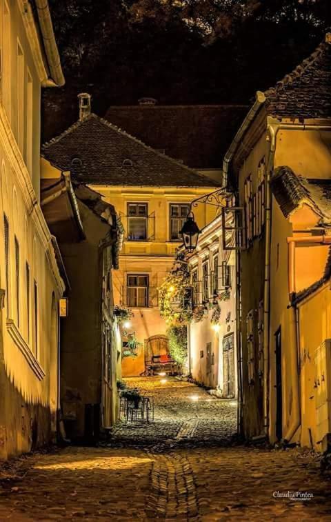 Pensiunea Lelila Inn Сигишоара Экстерьер фото