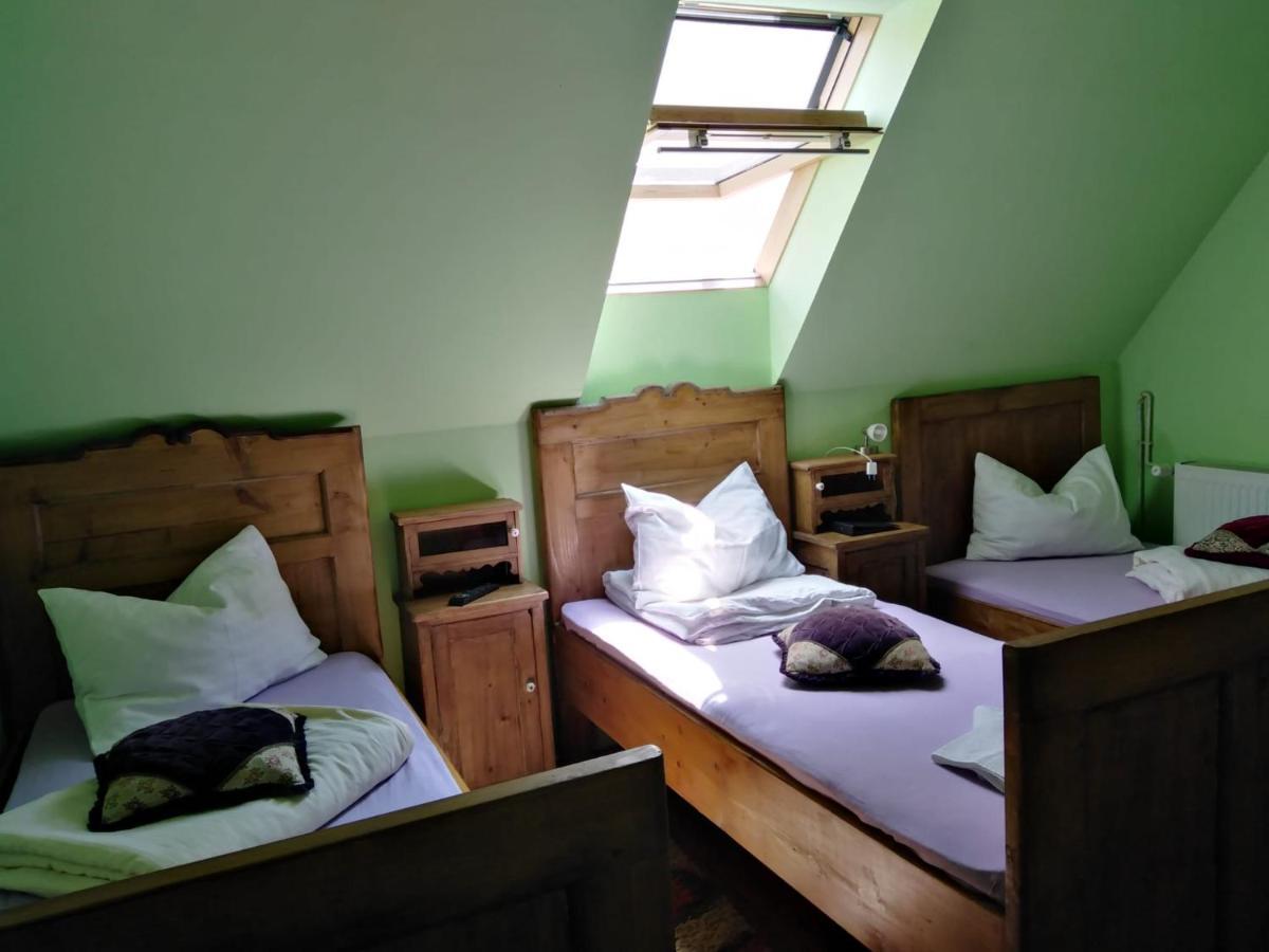 Pensiunea Lelila Inn Сигишоара Экстерьер фото